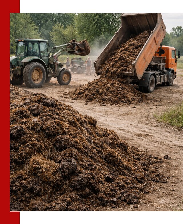 Доставка навоза самосвалами в Ленинске-Кузнецком для сельхозпотребностей